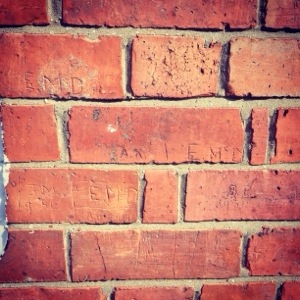 20140508-120454 am.jpg